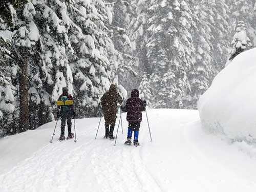 Snowshoeing in Lake Tahoe