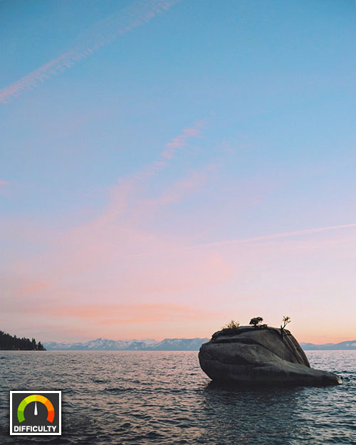 Bonsai Rock