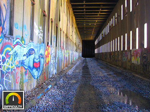 Donner Train Tunnels