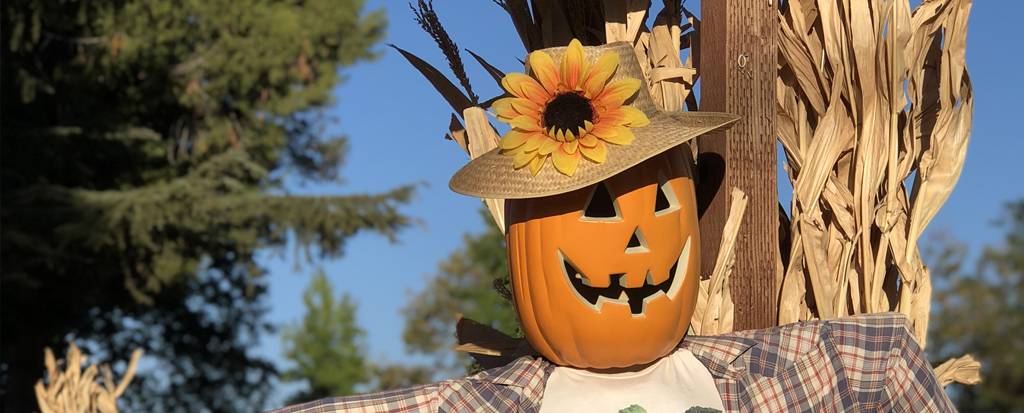 CA89 Lake Tahoe Fall Activities Guide