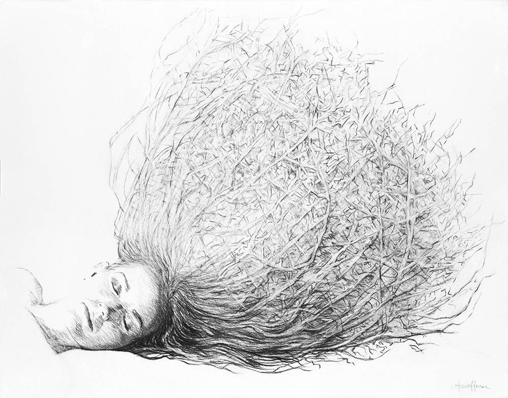 Carey Tumbleweed