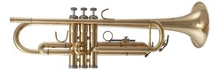 Trumpet