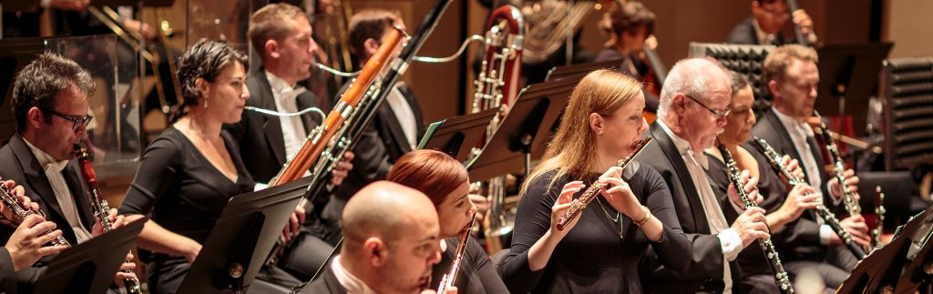 Woodwind Instrument Shopping Guide