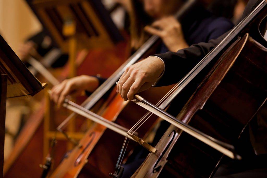 Cello - String Bass Shopping Guide