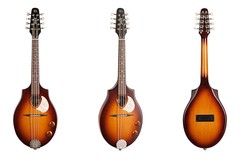 Mandolin