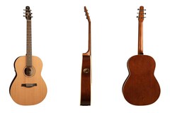 Acoustic-Electric