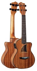 Ukulele