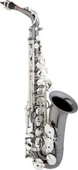 Alto Saxophone
