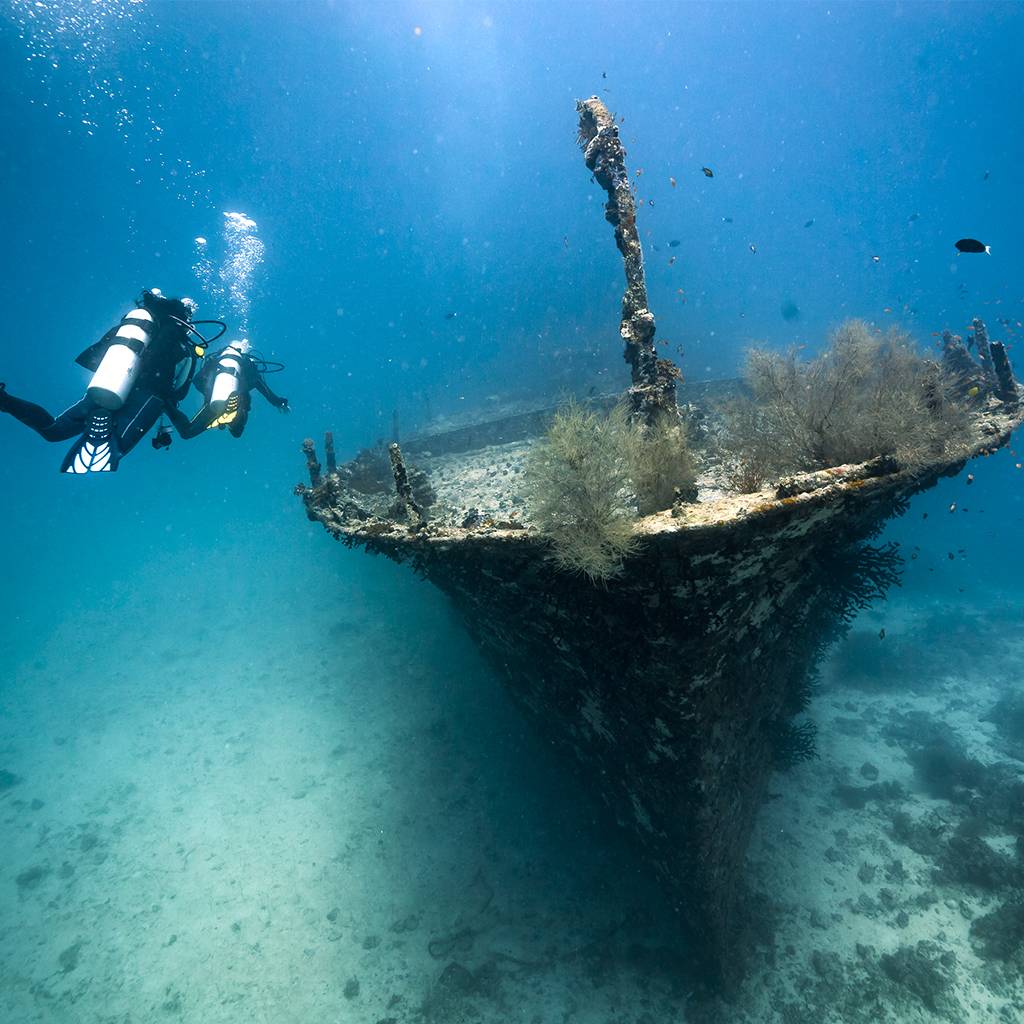 Total Diving est la meilleure équipe pour apprendre la plongée