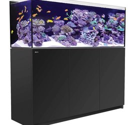 Red Sea Reefer Xl 525 Aquarium System 139 Gallon Black Gl Red Sea Reefer Xl 525 Aquarium System 139 Gallon Black Gl Aquatics