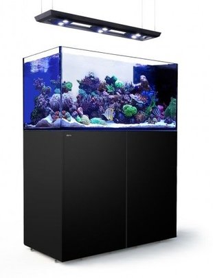 reef led glass aquatics