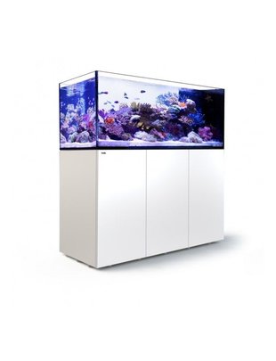 reef tank glass aquatics