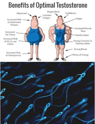 URGENT! Men and the Decline of Testosterone and Sperm