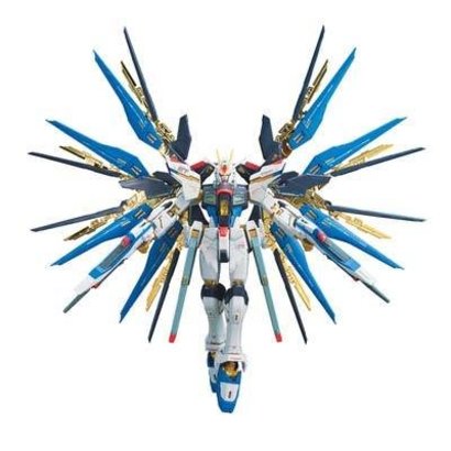 BAN - Bandai Gundam 185139 #14 Strike Freedom Gundam RG 1/144