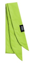 Products tagged with Scarf
