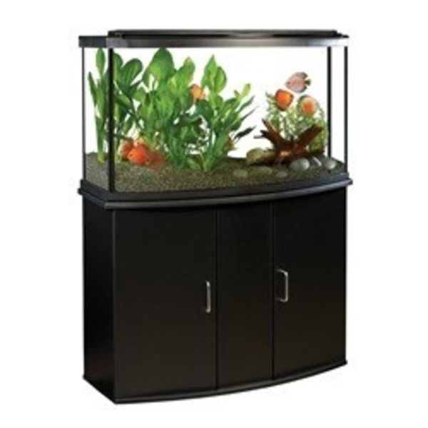 Fluval 45 Bow Starter Kit Aquarium Illusions Inc 17211 107 Ave Nw Fluval 45 Bow Starter Kit