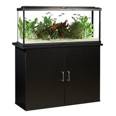 Fluval