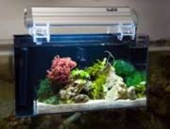 Creative Plastics Research