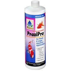 Products tagged with Hikari Prazipro 473 ml (16oz)