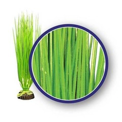 Artificial Plants