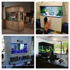 Gallery of Custom Built Aquariums & Stands by Aquarium Illusions