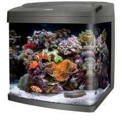 Products tagged with biocube