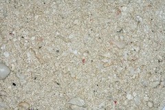 Carib sea
