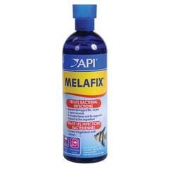 Products tagged with Anti-Bacterial Remedy