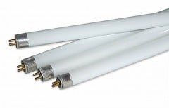 Products tagged with fluorescent bulbs
