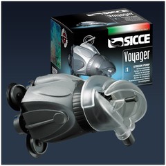 Sicce