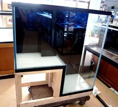 Aquarium Illusions