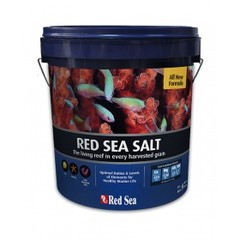 Red Sea