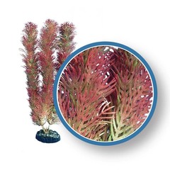 Products tagged with aquarium decoration