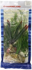 Products tagged with aquarium plant
