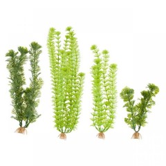 Products tagged with aquarium plants