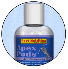Reef Nutrition