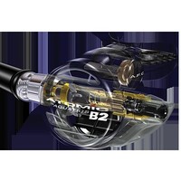 Atomic B2 Regulator