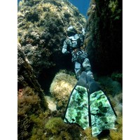 OMER Stingray Fins