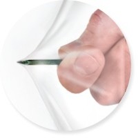Screen Protector for Hollis DG05