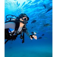 Light & Motion Sola Dive Light