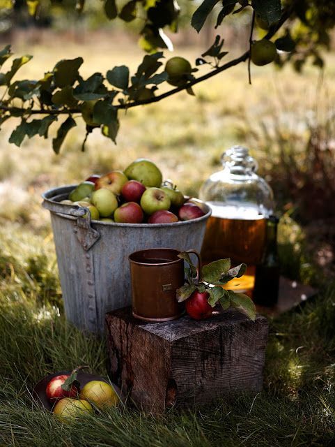 10 RAISONS POUR LESQUELLES ON ADORE L’AUTOMNE!