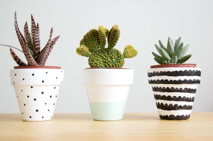 COMMENT ENJOLIVER VOTRE MAISON AVEC LES SUCCULENTES ET LES CACTUS