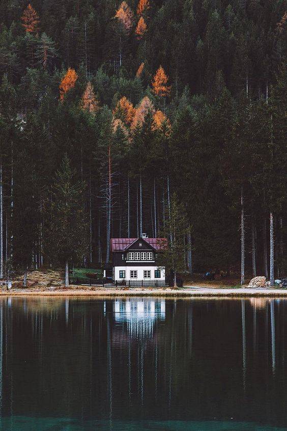 LES 5 MUSTS DE L’AUTOMNE POUR UN INTÉRIEUR À LA HAUTEUR!