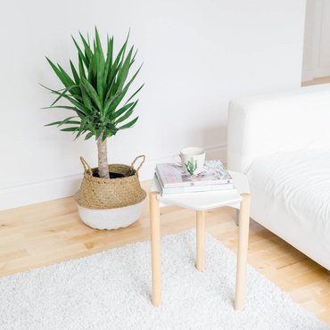 Furniture Furniture