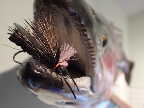 Our favorite Salmonfly Patterns...