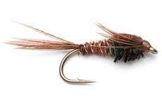 Thursday Night Fly Tying Night...Standard and Soft Hackled Pheasant