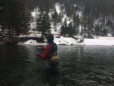 The Water Haul/Tension Cast