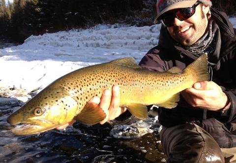 Early December Big Sky Fishing Forecast