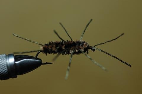 Thursday Night Fly Tying...Pat's Rubber Legs