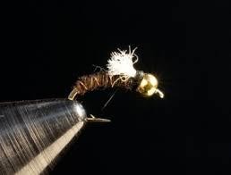 Thursday Night Fly Tying...Rowan Nyman's Shop Vac